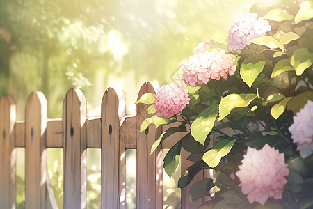 淡雅浪漫的绣球花花朵背景图片
