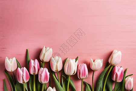 粉色郁金香花束背景图片