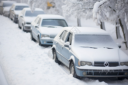 白雪皑皑车辆图片