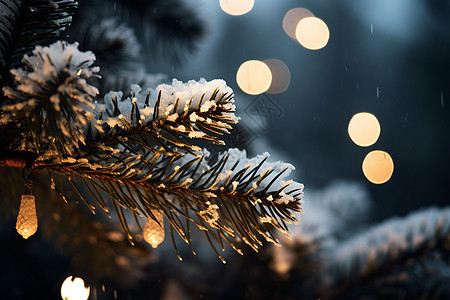 圣诞雪夜闪烁的光环图片