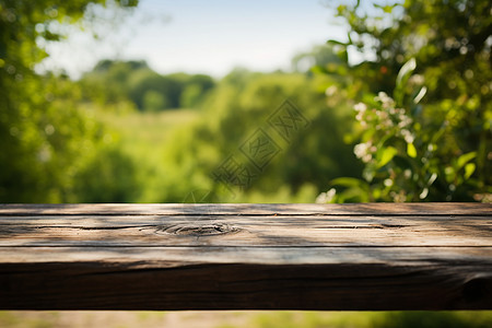 林间的木质桌子图片