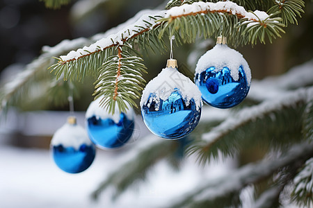户外云杉树上的圣诞节装饰品图片