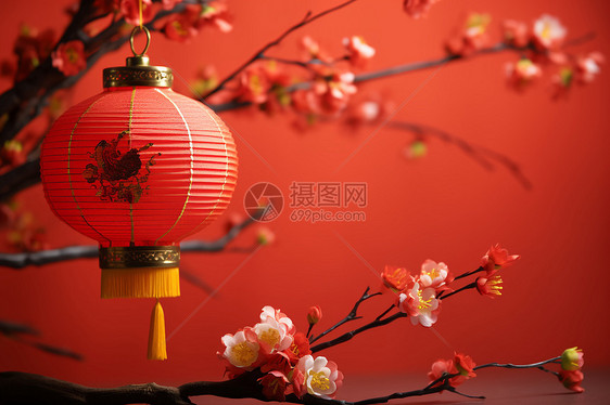 春节花灯照亮红墙花枝图片