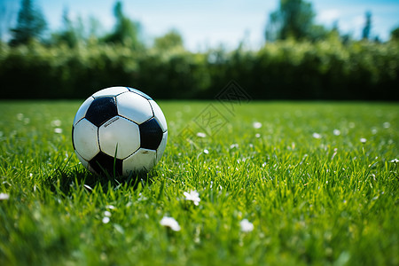 足球草坪夏日草坪上的足球背景