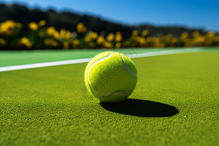 绿茵练兵网球比赛图片