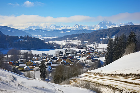 雪景下的乡村风光图片