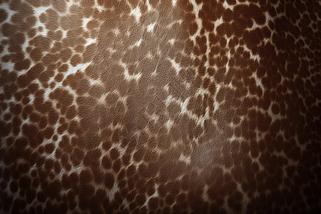 长颈鹿皮肤的细节特写背景图片
