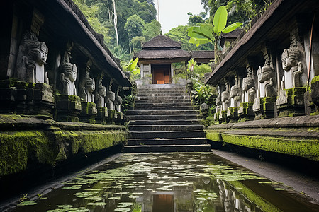 古老的丛林寺庙建筑图片