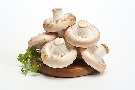 松口蘑营养丰富的蘑菇食材背景