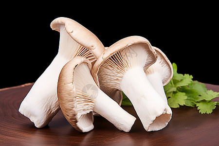 营养丰富的蘑菇食材图片