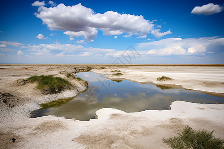 壮观的沙漠滩涂景观图片