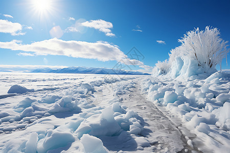 寒冬中的冰原奇观背景图片