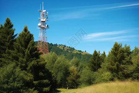 树林中的电信塔图片