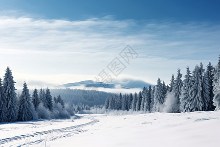 美丽的雪景图片