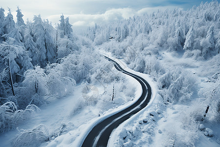 冬日林间雪路图片