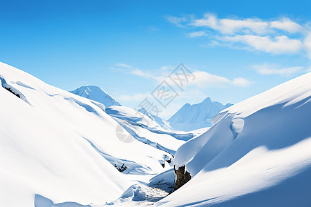 雪山上的滑坡图片