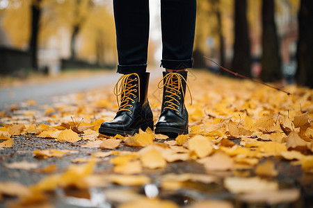 秋季落叶和路上的人图片
