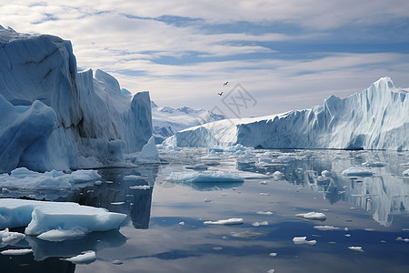 海洋里的冰山图片