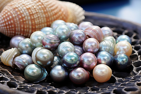 彩色的贝壳珍珠图片