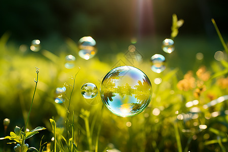 绿色草地上的气泡图片