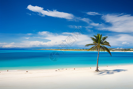 椰子树风景碧海蓝天白沙滩背景