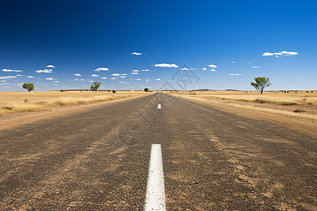 广阔平原中的道路图片