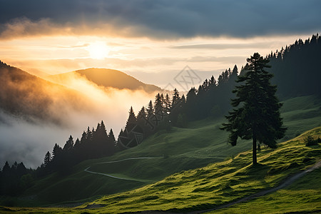 夕阳下的山峰图片