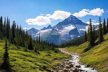 碧水山涧图片