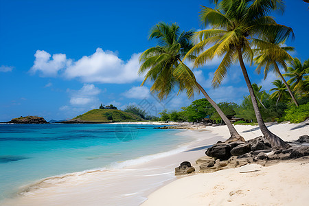 碧海蓝天的热带海滩景观图片