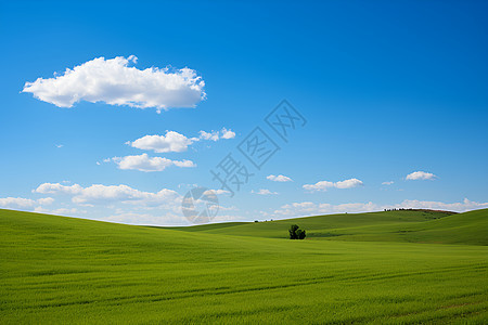 浩瀚蓝天的大草原景观图片