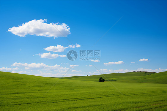 浩瀚蓝天的大草原景观图片