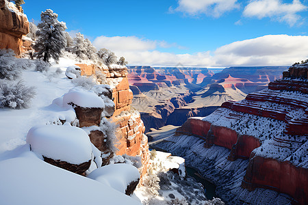 冬季白雪覆盖的峡谷景观图片