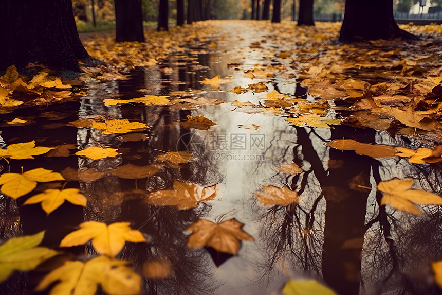 秋雨似画的美丽景观图片