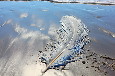 一片羽毛躺在沙滩上图片