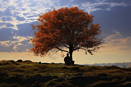 秋季坐在树下的男士背景图片