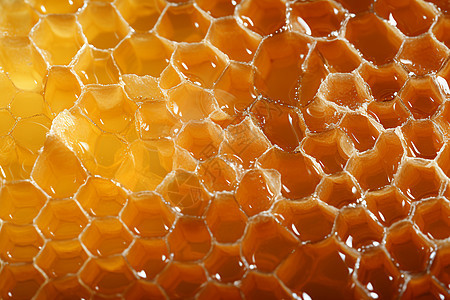 蜂巢上甜美的蜂蜜图片
