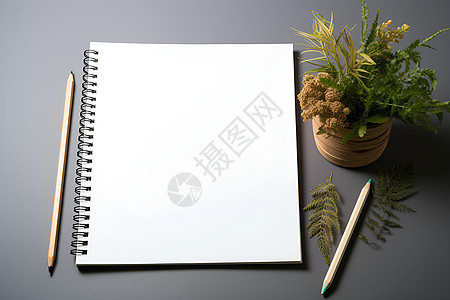植物和笔记本图片