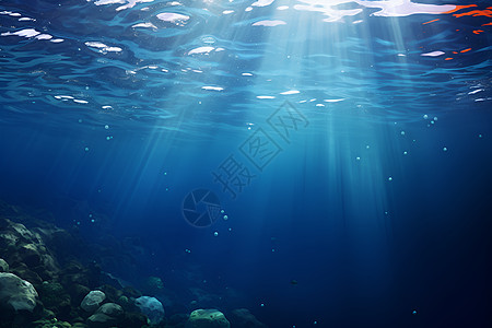 海底的幽蓝世界图片