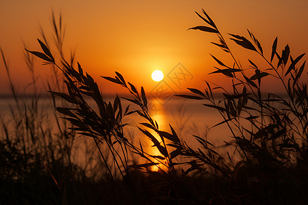 日落时湖泊的美丽景观图片