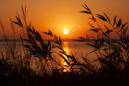 日落时湖泊的美丽景观背景图片