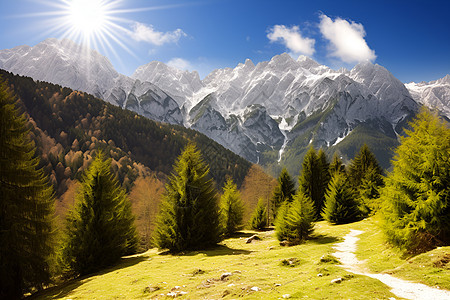 林间山谷的美丽景观图片