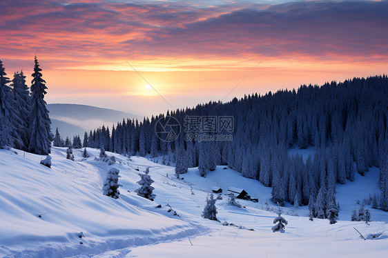 夕阳雪景图片