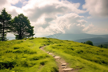 山顶上的草地美景图片