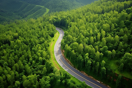 一条蜿蜒的道路图片