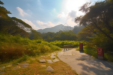 秋季山林小径的自然景观图片