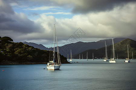 海湾与山脉的美丽景观图片