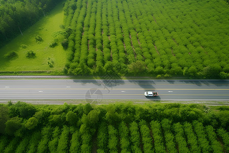 公路上的汽车背景图片