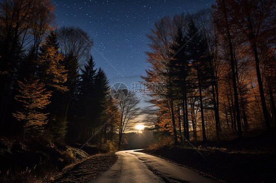 深秋夜晚的道路图片