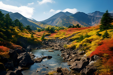 新西兰森林山脉轮廓里的美丽背景