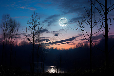 黑暗丛林月夜湖畔背景